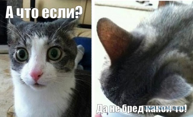 Первые шаги ребёнка