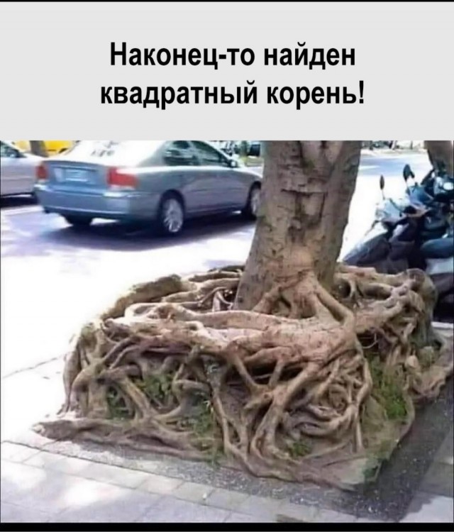 Среда пришла