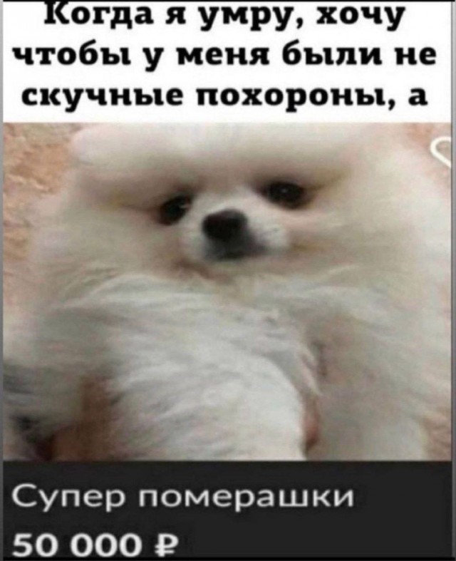Небаянистая деградация 13 (Дегрономикон)