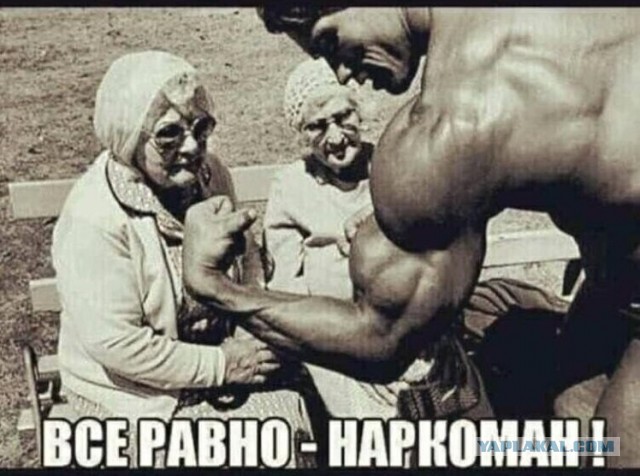 Среды картинки