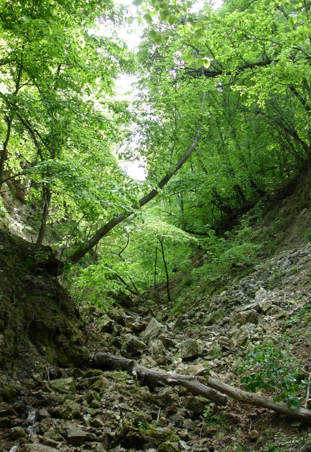 Старый водозабор