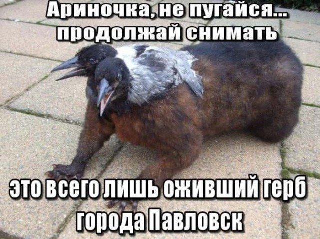 Картинки для деградации 200 (разной степени свежести)