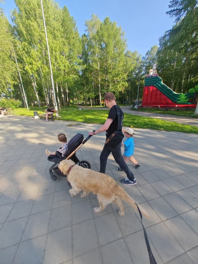 Золотистые