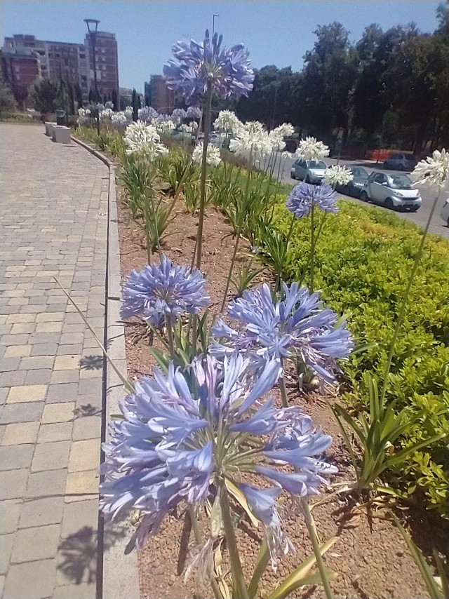 Мужчины, вы зачем игнорируете красивых женщин?