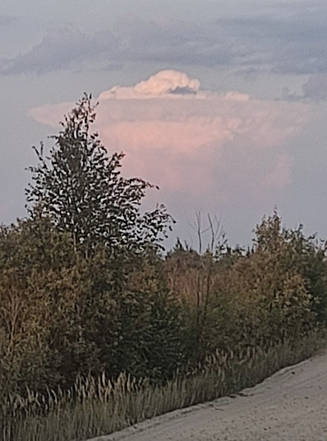 Одно фото