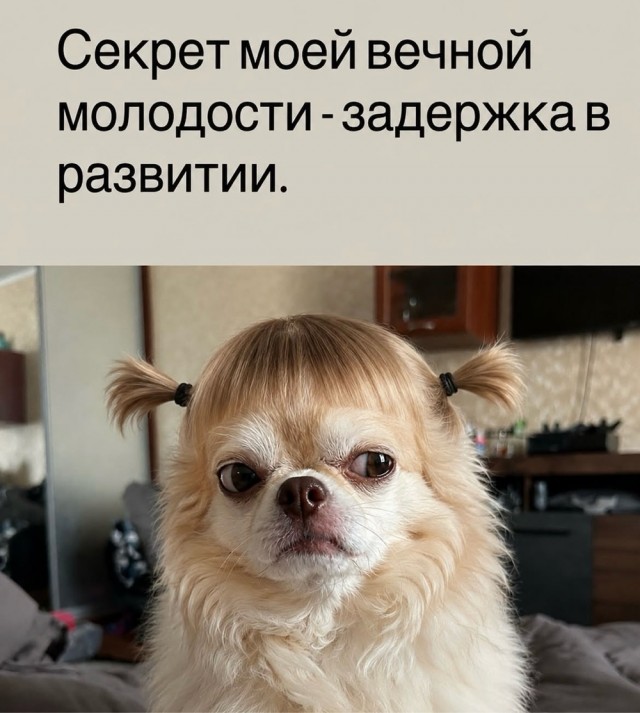 Веселое настроение в картинках 12.08.26