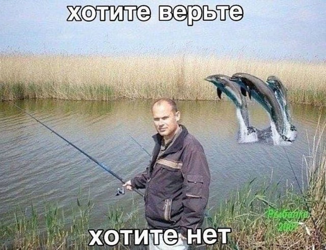 Прикольные и просто красивые картинки 21.08.2026