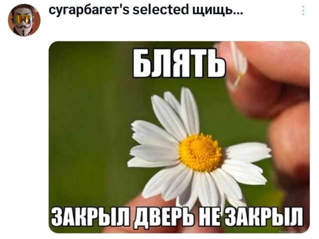 Психомемы-15