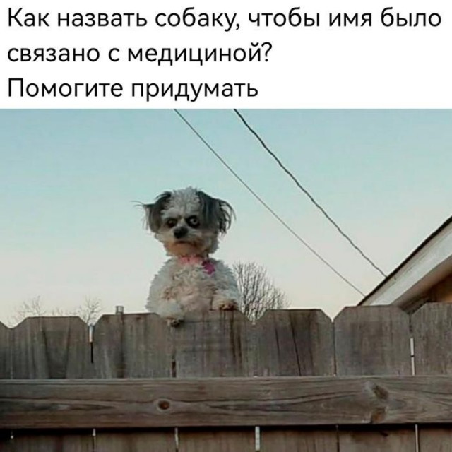 Картинки для деградации 307 (разной степени свежести)