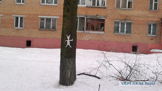 Фото-приколы