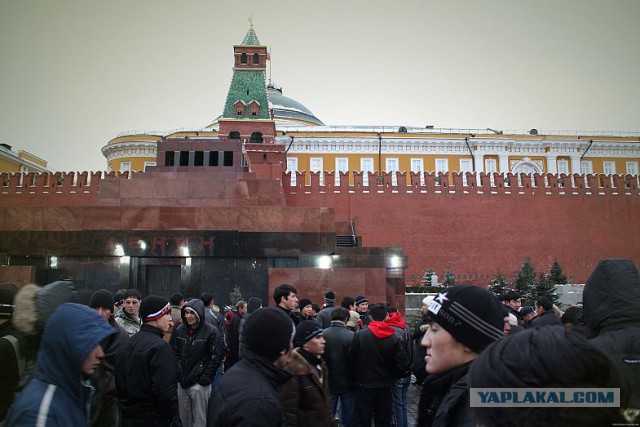 Волгоград, голодовка многодетных родителей.