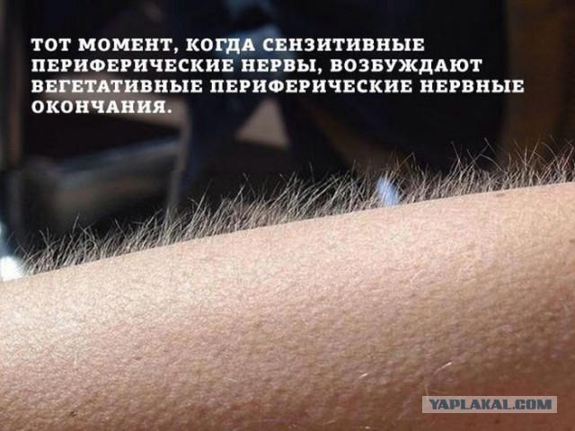 Веселые картинки № х/з