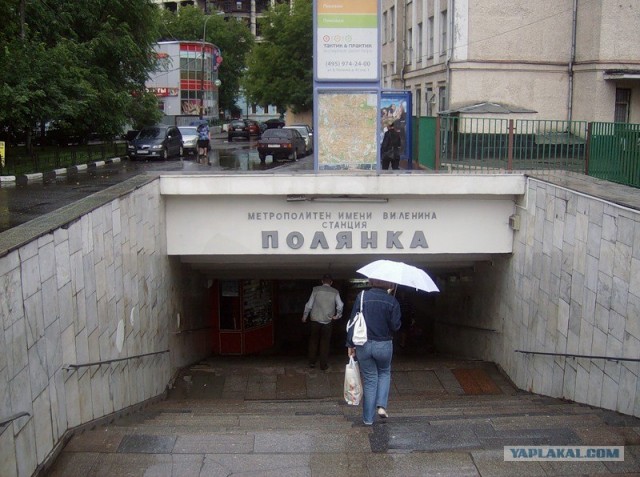 Как много девушек хороших