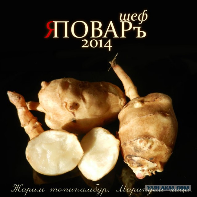 Второй этап конкурса «Шеф-повар 2014»