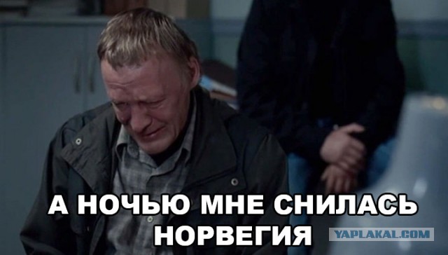 Териберка. Только правда.