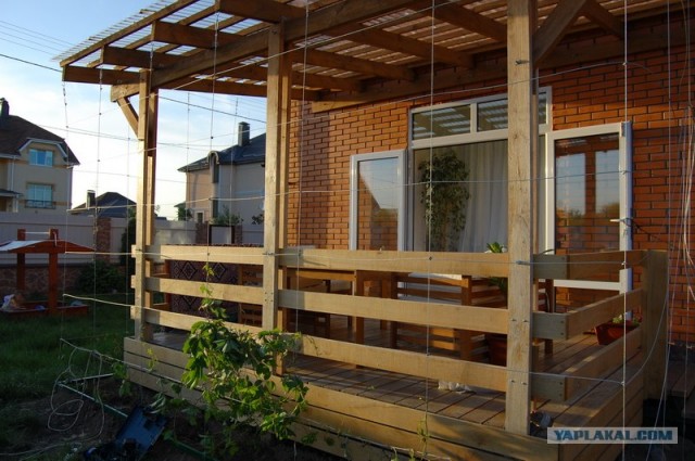 Литературное произведение о окне и руках