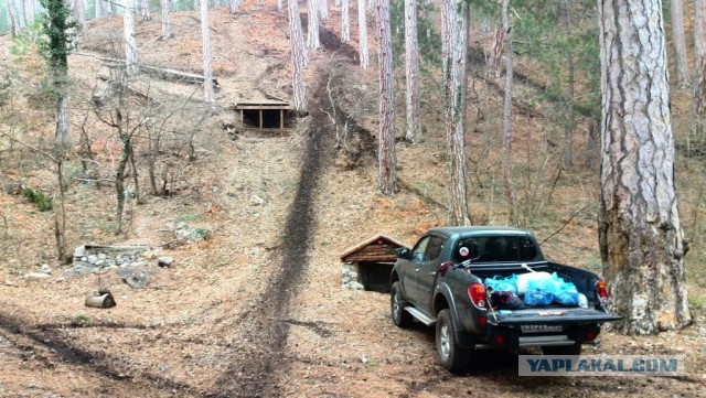 Прогулка по Голландии.