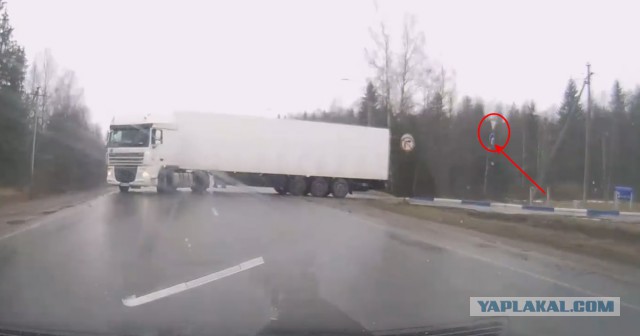 Пришёл ответ из ГИБДД