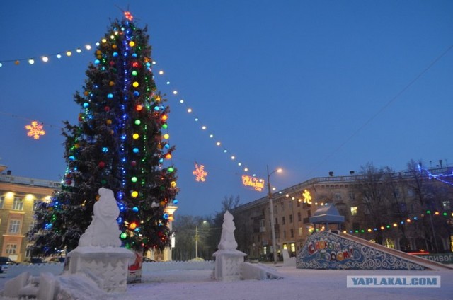 Елочная фаллометрия