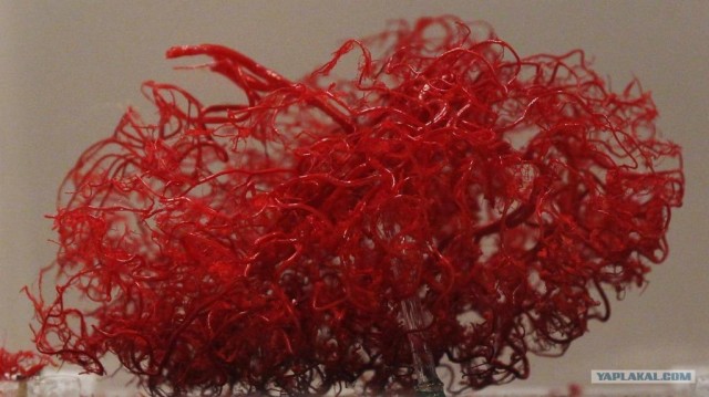 Ну и как это можно прочитать?