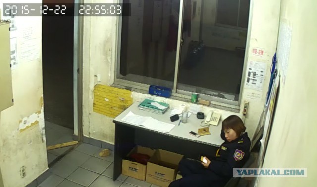 За что я люблю китайцев