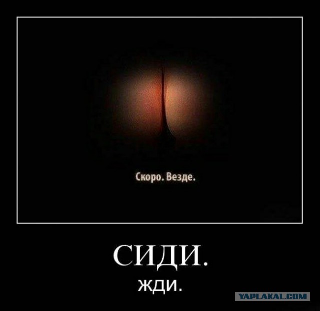 Весёлые картинки