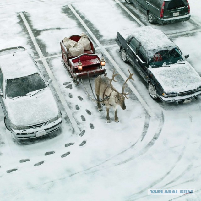 Российский авторынок уходит в крутое пике.