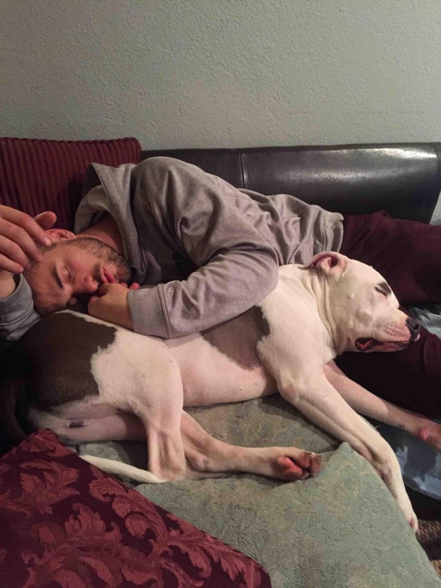 Подборка картинок 29.02.16