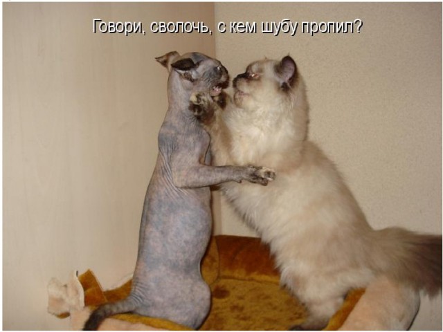 Подборка картинок