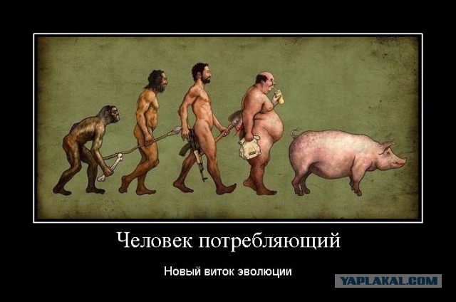 Нестыковки в эволюции: Виды есть, а предков нет