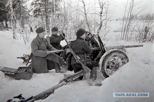 Наши.