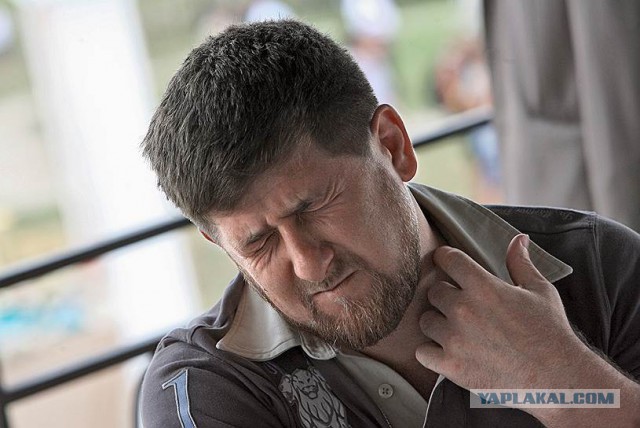 Рамзан Кадыров призвал оставить в покое Федора Емельяненко