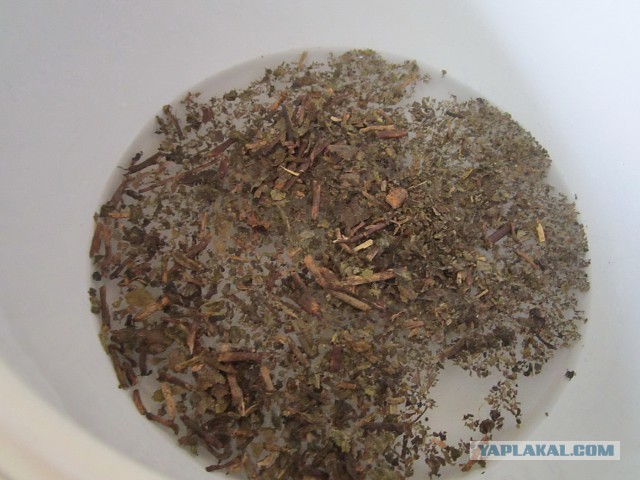 Мировая кулинария. День повара