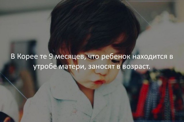 39 интересных фактов в картинках