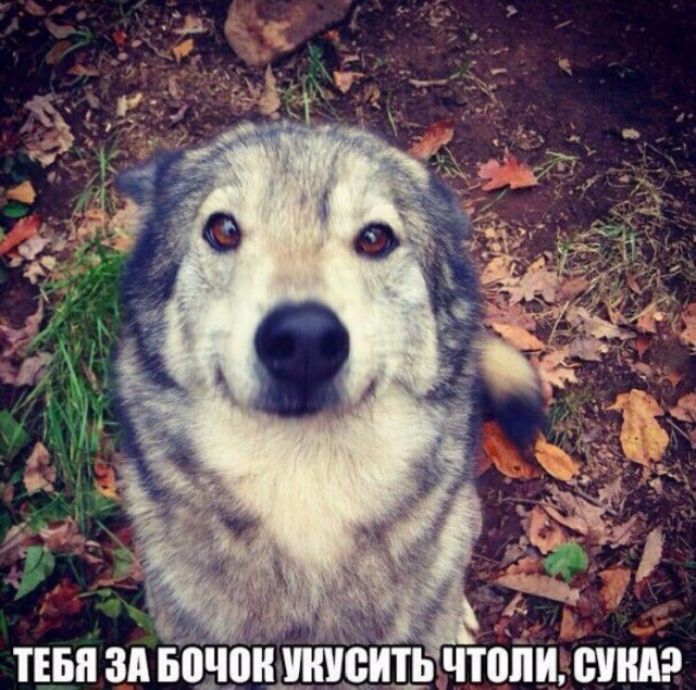 Фото-коктейль...