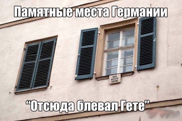 Порция воскресных картинок