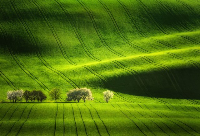 Фото дня