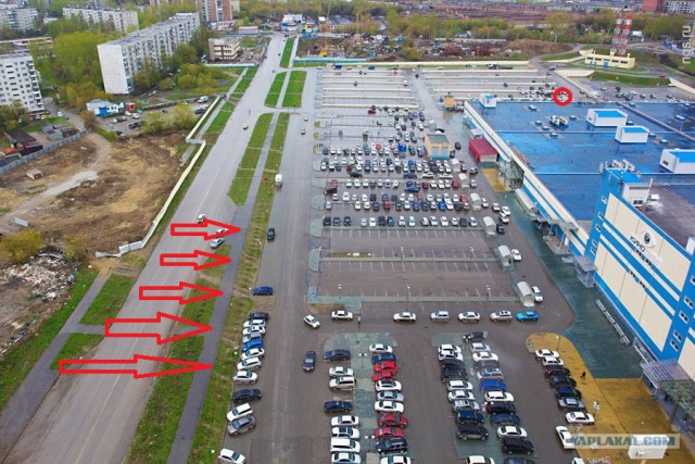 Цари приехали!