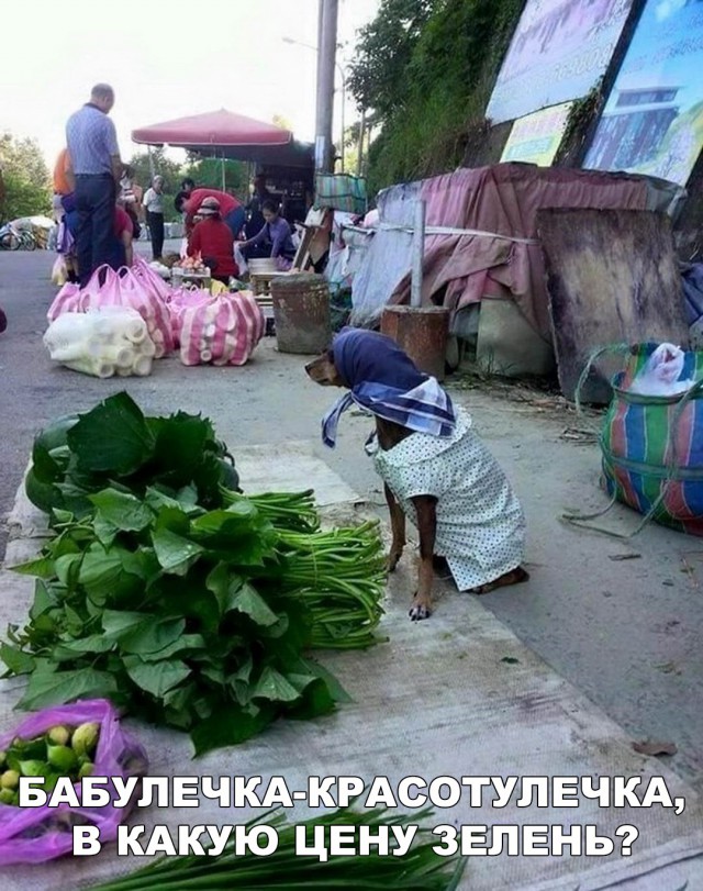 Нестандартный юмор