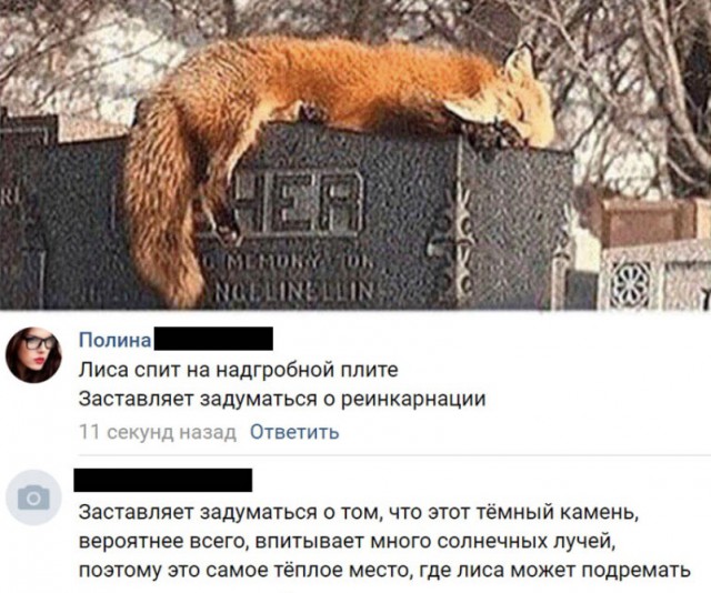 Умные мысли - 19