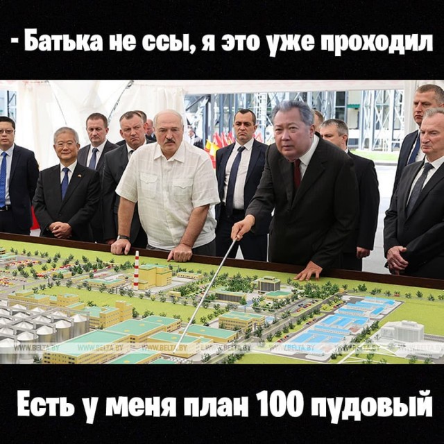 В Бресте мужик с женой просто выгуливал собаку, но  ОМОН это мало волновало.