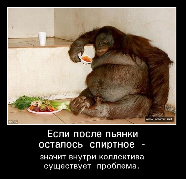 Алкопост 7.11.20