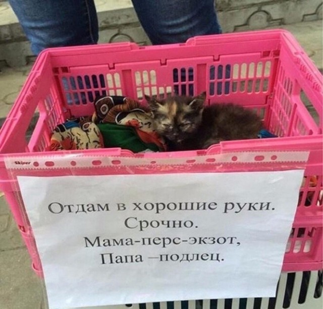 Картинки с надписями и всякие жизненные фразы 10.1.21