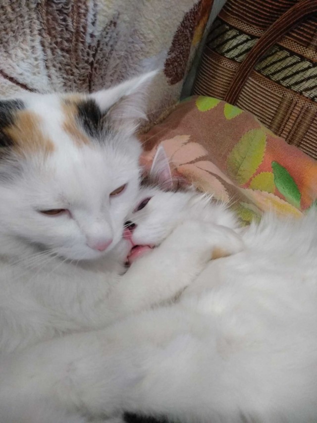Добрые картинки 28.11.20