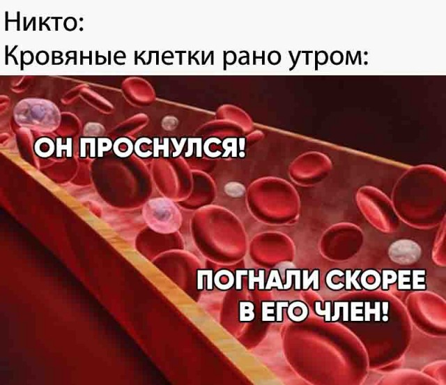 Баянисто-небаянистый юмор 29.03.21