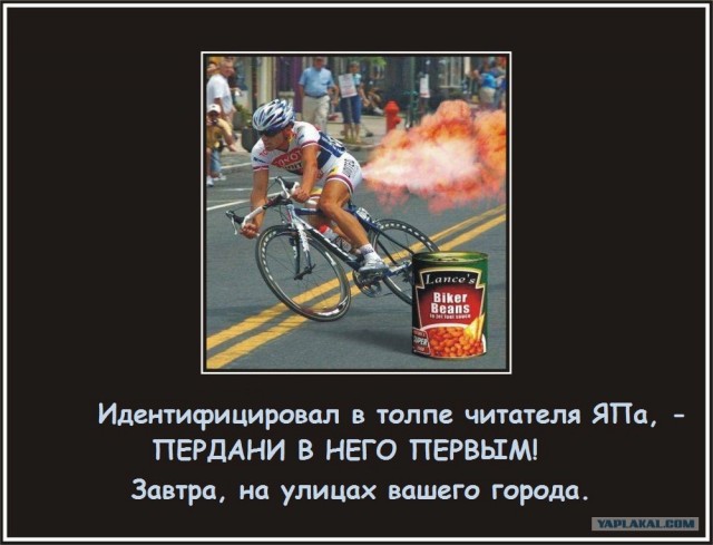 Фасоль – International, Или «Веселые нотки»