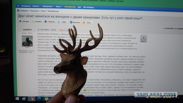 Друг хочет жениться на женщине с двумя прицепами. Есть тут у кого такой опыт?
