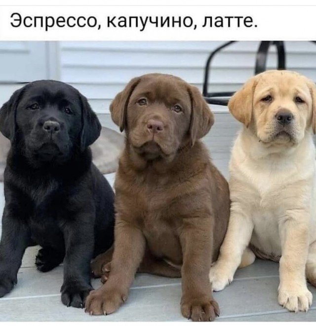 Картинки и мемы для настроения 26.08.2021