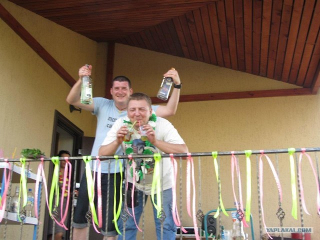 International одной книги., В память о Дженибеке.