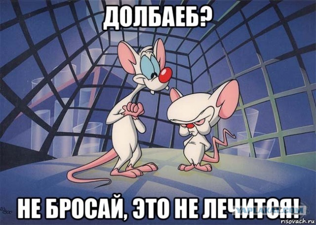Геймеры объявили войну магазину DNS и перекупам